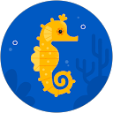 Neha Singh profile picture